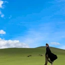 呼伦贝尔大草原 - 呼伦贝尔市旅游 缩略图 1