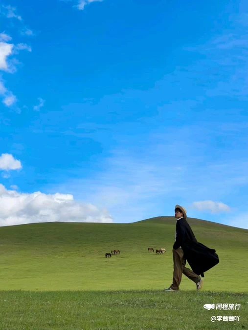 呼伦贝尔大草原 - 呼伦贝尔市旅游