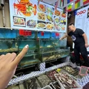 青岛戳子肉海鲜加工 - 青岛市旅游 缩略图 5