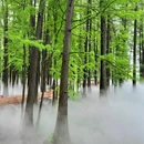 落雁景区 - 武汉旅游 缩略图 1