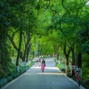 九溪烟树 - 杭州市旅游 缩略图 3