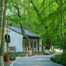 九溪烟树 - 杭州市旅游 缩略图 1