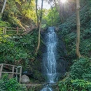 九溪烟树 - 杭州市旅游 缩略图 9
