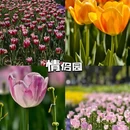 余欢领鲜火锅(友谊店) - 南京市旅游 缩略图 9