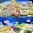 燕岛小院(燕儿岛路店) - 青岛市旅游 缩略图 5
