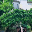 黟县宏村秀里影视村 - 黄山市旅游 缩略图 2