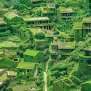 嵊山岛 - 舟山市旅游 缩略图 4
