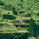 嵊山岛 - 舟山市旅游 缩略图 7