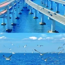 星海广场 - 大连市旅游 缩略图 8