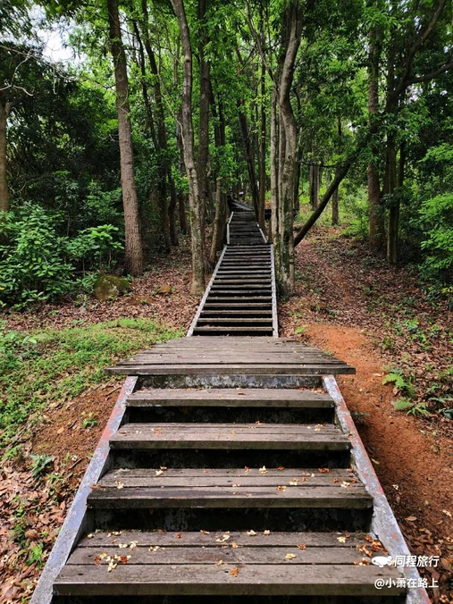 深圳梅林山郊野径 - 深圳市旅游