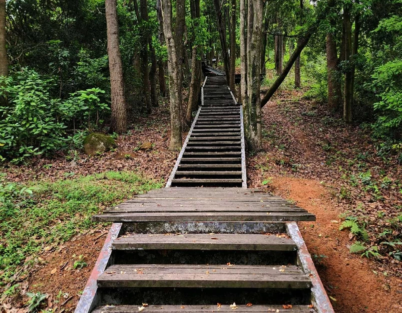 深圳梅林山郊野径 - 深圳市旅游 1