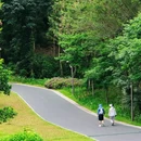 深圳梅林山郊野径 - 深圳市旅游 缩略图 5