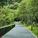 深圳梅林山郊野径 - 深圳市旅游 缩略图 7