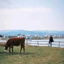 万山楼 - 张家口市旅游 缩略图 6