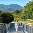 环西丽湖绿道(碧道) - 深圳市旅游 缩略图 1