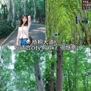 老门东牌坊 - 南京市旅游 缩略图 2