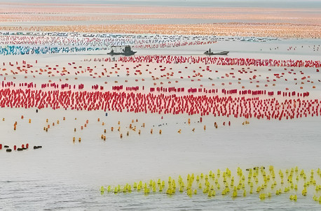 5天4晚·汕头+小公园骑楼群+南澳岛+网红灯塔+青澳湾+潮州古城自由行