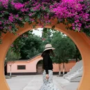 龙兴寺 - 成都市旅游 缩略图 1