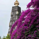 龙兴寺 - 成都市旅游 缩略图 9
