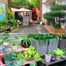 馒头山社区 - 杭州市旅游 缩略图 9