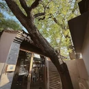 前门公园 - 北京市旅游 缩略图 5
