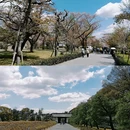 京都 - 日本旅游 缩略图 9