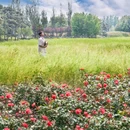 圆明园遗址公园 - 北京旅游 缩略图 3