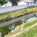 圆明园遗址公园 - 北京旅游 缩略图 8