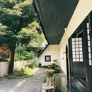 三圣乡花市 - 成都市旅游 缩略图 3