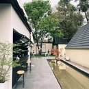 三圣乡花市 - 成都市旅游 缩略图 8