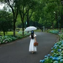 杨府山公园-北门 - 温州市旅游 缩略图 2
