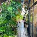 艾莎湾·空中江景日落泰式料理 - 西双版纳傣族自治州旅游 缩略图 9