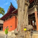 陵川一中 - 晋城市旅游 缩略图 8