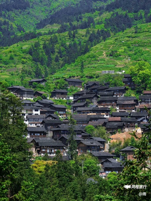 贵州龙里大草原景区 - 黔南布依族苗族自治州旅游