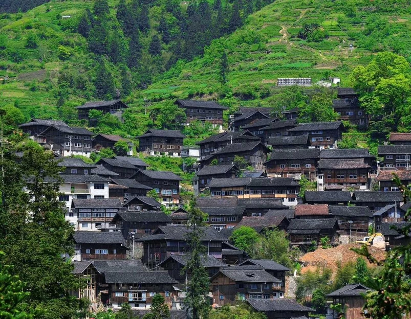 贵州龙里大草原景区 - 黔南布依族苗族自治州旅游 1