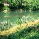 大邑鹤鸣山道源圣城风景区 - 成都市旅游 缩略图 9
