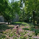 大邑鹤鸣山道源圣城风景区 - 成都市旅游 缩略图 5