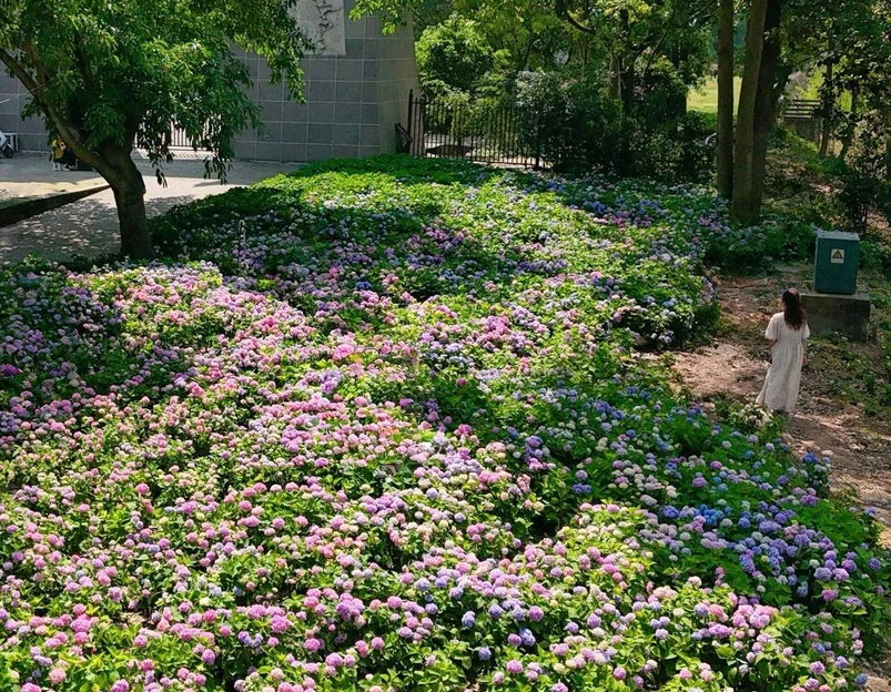 大邑鹤鸣山道源圣城风景区 - 成都市旅游 1