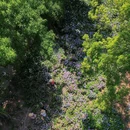大邑鹤鸣山道源圣城风景区 - 成都市旅游 缩略图 3