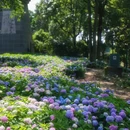 大邑鹤鸣山道源圣城风景区 - 成都市旅游 缩略图 8