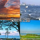 海上世界 - 深圳市旅游 缩略图 3