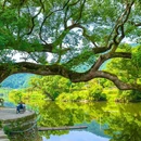 上坦村 - 上饶市旅游 缩略图 1