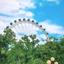逍遥津公园 - 合肥市旅游 缩略图 5