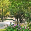 逍遥津公园 - 合肥市旅游 缩略图 3