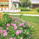 逍遥津公园 - 合肥市旅游 缩略图 9