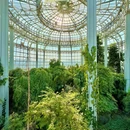 郑州植物园-热带植物展览温室 - 郑州旅游 缩略图 5