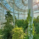 郑州植物园-热带植物展览温室 - 郑州旅游 缩略图 4