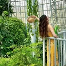 郑州植物园-热带植物展览温室 - 郑州旅游 缩略图 3