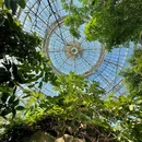 郑州植物园-热带植物展览温室 - 郑州旅游 缩略图 7