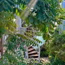 郑州植物园-热带植物展览温室 - 郑州旅游 缩略图 8